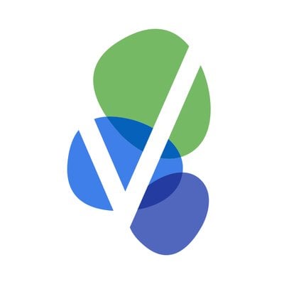 bf/NASDAQ:VSTM_icon.jpeg